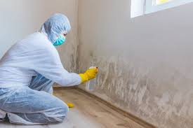 Best Mold Removal for HVAC Installations  in Coachella, CA