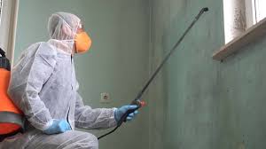 Best Mold Prevention Services  in Coachella, CA